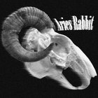 Aries Rabbit thumbnail