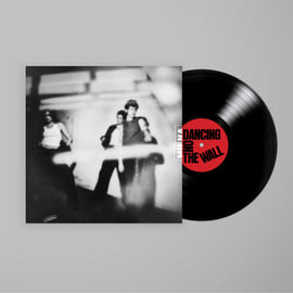 Black Vinyl LP, image 1