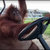 yp420 thumbnail