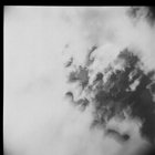 flockenstein thumbnail