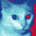evil0lly thumbnail