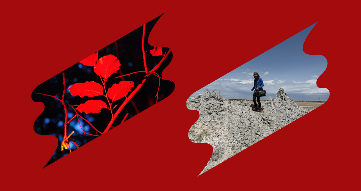 The Best Field Recordings on Bandcamp, January 2026