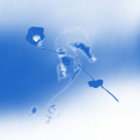 swanix thumbnail