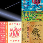 Music On A Long Thin Wire | Alvin Lucier