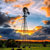 Bandcamp profile picture for @nebraska