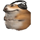 hapi hamster thumbnail
