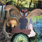 kopfzucker thumbnail