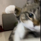 schwarzerheisserkaffee thumbnail