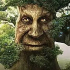 andrei0 thumbnail