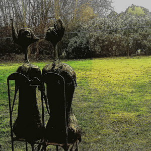 Music | Colm Martin