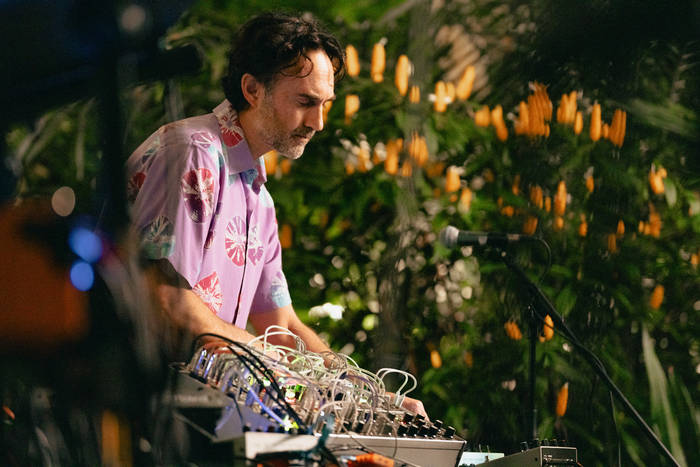 Plant Music Vol 2: Fruits and Flowers of Hawai'i | modern biology