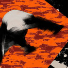 kaili252 thumbnail