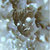 Vaelin thumbnail