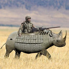 dhino thumbnail