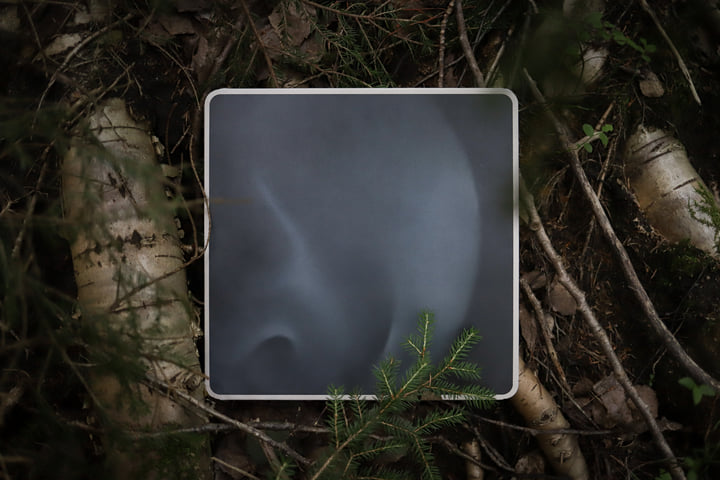 A Look Within | Feral | Hypnus Records