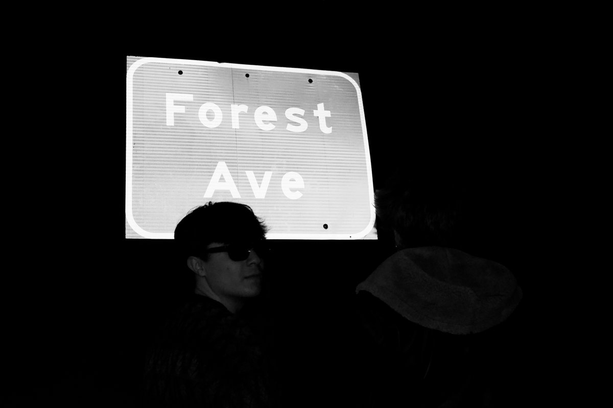 Forest Ave Demo | Forest Ave
