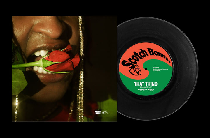That Thing (Doo Wop Mix) Single | Mungo's Hi Fi x Aziza JAye