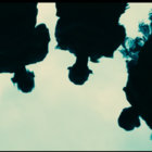 Salpa thumbnail