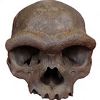 nephilimtragedy thumbnail