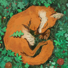foxie thumbnail