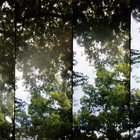 8108910 thumbnail