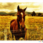 at_one thumbnail