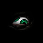 nikovian thumbnail
