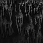 altfijant thumbnail