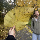 teraldoxcx thumbnail