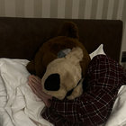 lucabear thumbnail