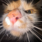 marci thumbnail