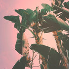 purple_jungle thumbnail