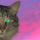 vv4rr3n thumbnail