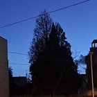 ruoska thumbnail