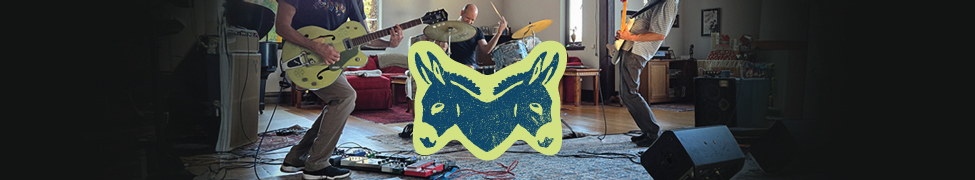 Stereo Donkey — Photo · candid