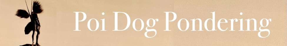 Poi Dog Pondering — Photo