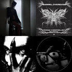 bord1613 thumbnail