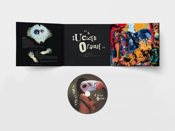 A Sucked Orange | Nurse With Wound | INFINITE FOG PRODUCTIONS