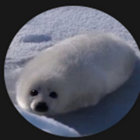 _ thumbnail