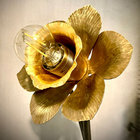 Daffodil thumbnail