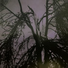 tchortusk thumbnail
