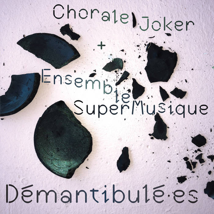 Ensemble SuperMusique — Photo