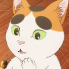 shymander thumbnail
