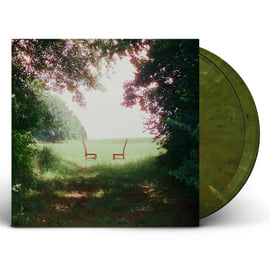 Ratboys - Singin’ to an Empty Chair [Hundred Acre Wood Marble Color Vinyl], image 1