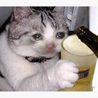 thaitakeaway thumbnail