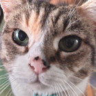 nerojulie thumbnail