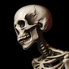 user19239139123 thumbnail