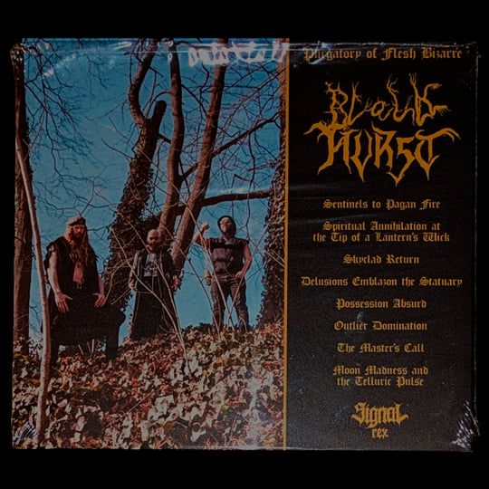 Purgatory Of Flesh Bizarre | Black Hurst | Signal Rex