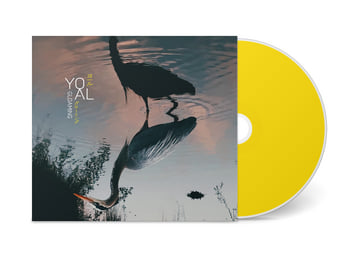 Limited Gatefold CD, image 1