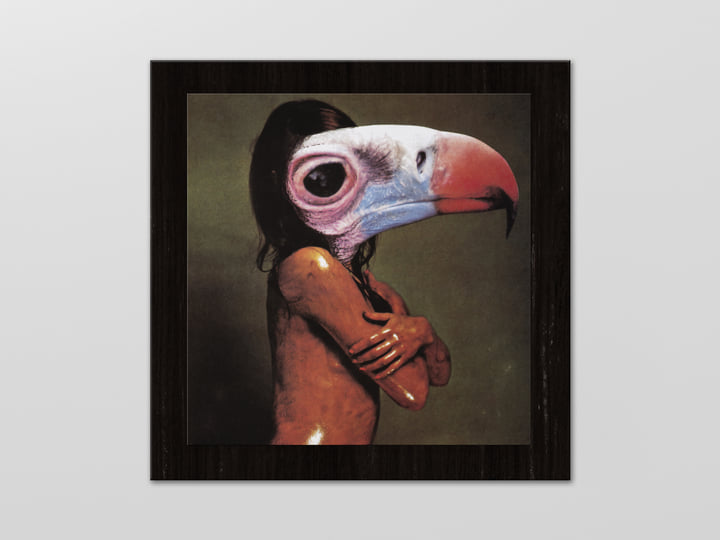 A Sucked Orange | Nurse With Wound | INFINITE FOG PRODUCTIONS